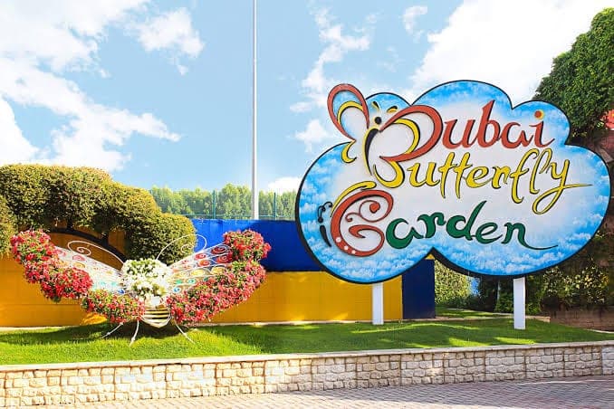 Dubai Butterfly Garden