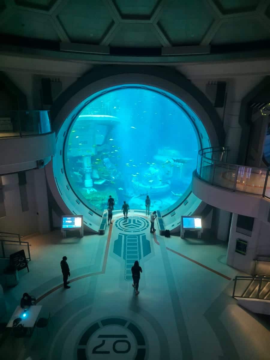 SeaWorld Abu Dhabi
